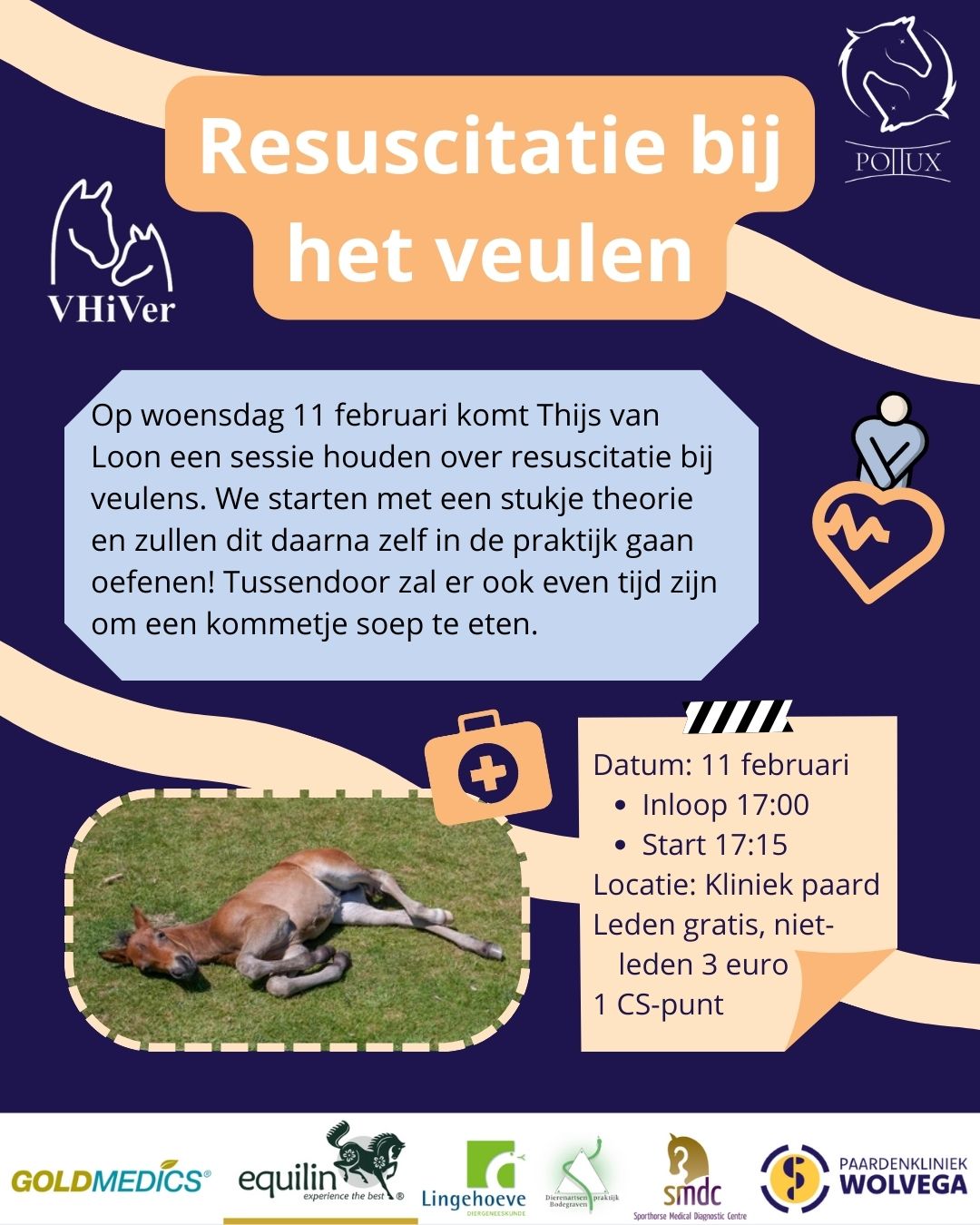resuscitatie bij het veulen