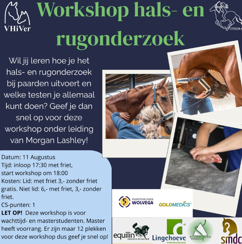 hals rug