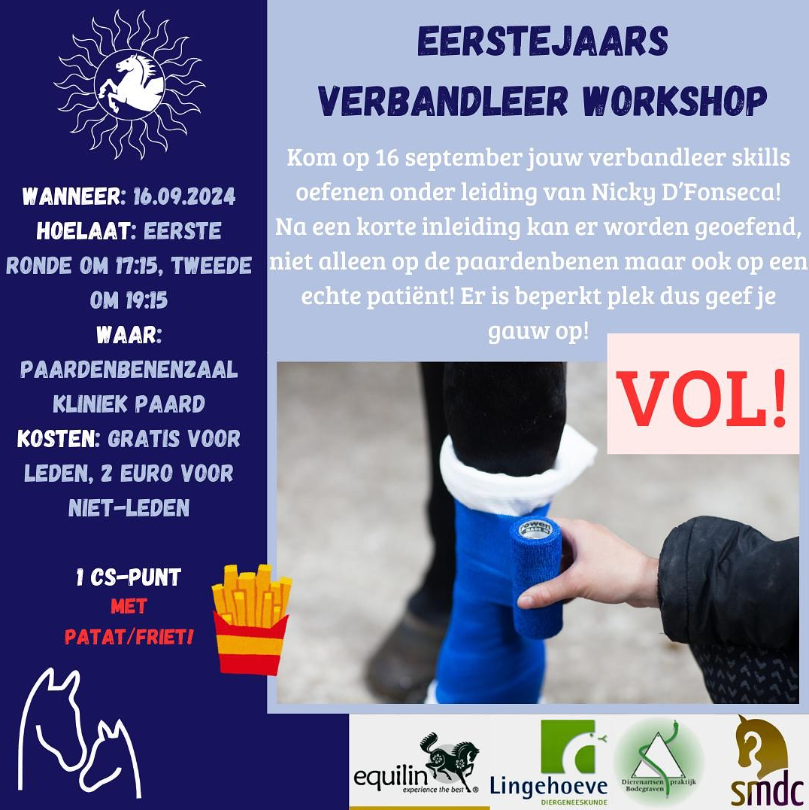 verbandleer