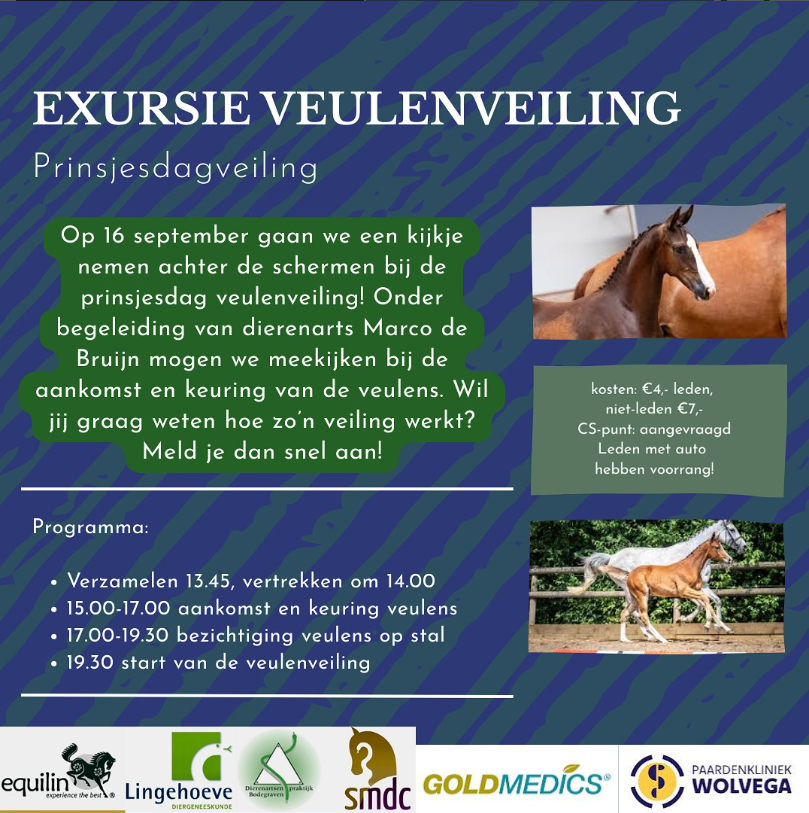 veulenveiling